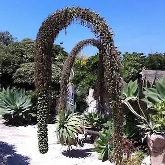 Il Giardino Della Falena * 法维尼亚纳